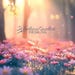 RadiantnatureDesigns