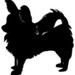 bambisboutiqueshop avatar