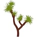 JoshuaTreeApparel
