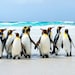Oceans2Blu