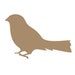 SabineAndSparrow
