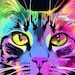 BDMeow