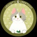Buyer Avatar
