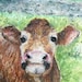 Karen Akers