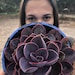 PsychedelicMacrames