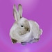 Buyer Avatar