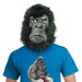 Mr Apesnort avatar
