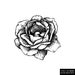 TheMoonlitRoseCo