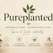 PurePlanted