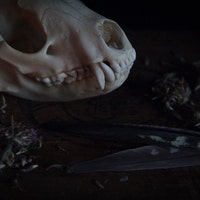 BlackrootApothecary
