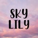 SkyLilyCo