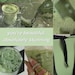 Buyer Avatar