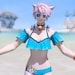 Buyer Avatar