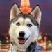 Buyer Avatar