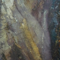 oenopia