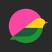 Birdieworksstudio