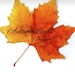 Buyer Avatar
