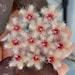 SmallBatchTropicals