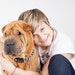 PetAdvocatesSociety