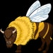 Buffalo Bees