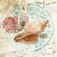 BeachHomeCoasters