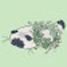 Buyer Avatar