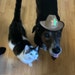Sam