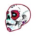headcircus