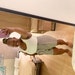 Buyer Avatar