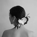 DelicateHairClips