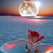 jeff emmans