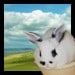 BunnyBumm avatar