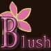 theblushboutique