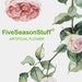 FiveSeasonStuff