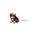 Buyer Avatar