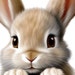 Buyer Avatar