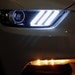Buyer Avatar