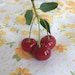 CherryTreeFinery