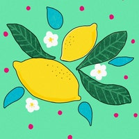 ShopDaisyLemon