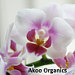 AkooOrganics