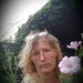 Elle Susanne Crocker avatar