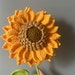 WYYdesignStudio