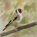 ThePaintingZoneShop