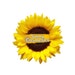 SunnyCosmetics