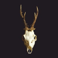 GrizzlyHills