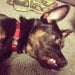 Buyer Avatar