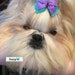 Buyer Avatar