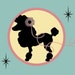 Electric Poodle Vintage avatar
