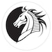 Silver Stallion