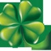 4CloverInc